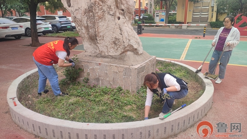 枣庄市市中区垎塔埠街道:环境整治显成效 人居环境焕新颜