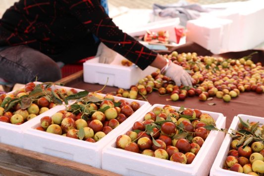 微信图片_20250516165847