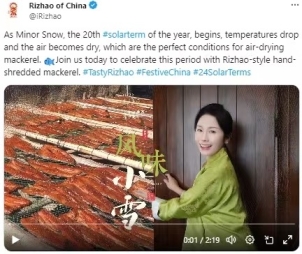 代表作在海外传播截图