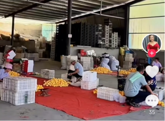 b18f128d907193371f358f24e4219c5