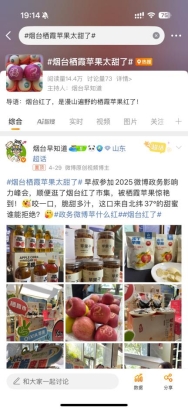 4-同城热搜-烟台栖霞苹果红了
