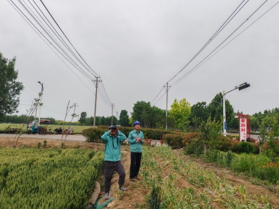 兖州供电中心:粽香迎端午 保电护安康