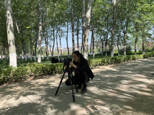 淄博职业技术大学 魏伟2