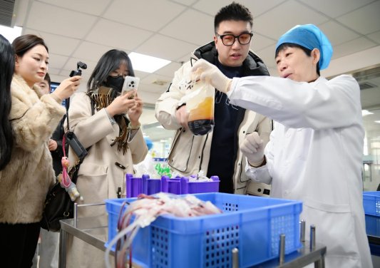 2025好网民·在山东 | 青岛市中心血站:构建无偿献血多元立体宣传格局
