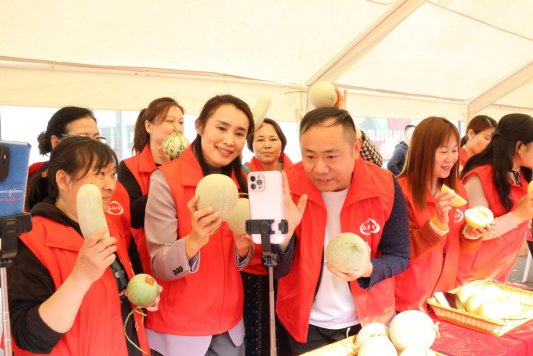 2025.4.8梯门蔬菜交易市场甜瓜节 (11)