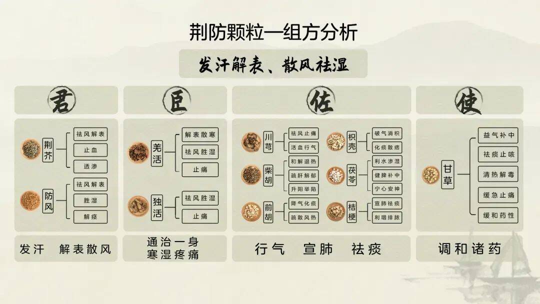 从一粒中药种子到全球好药，启达力®荆防颗粒用匠心铸就健康传奇