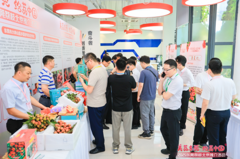 莞荔再进京拓市场，凭实“荔”亮相央视网