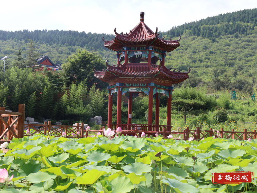 济南市钢城区：“治理”有方 “产业”兴旺