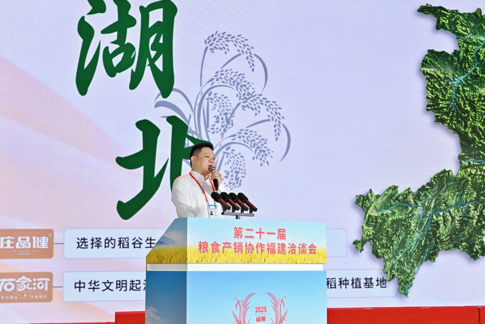 第二十一届粮食产销协作福建洽谈会圆满收官，成果丰硕亮点多