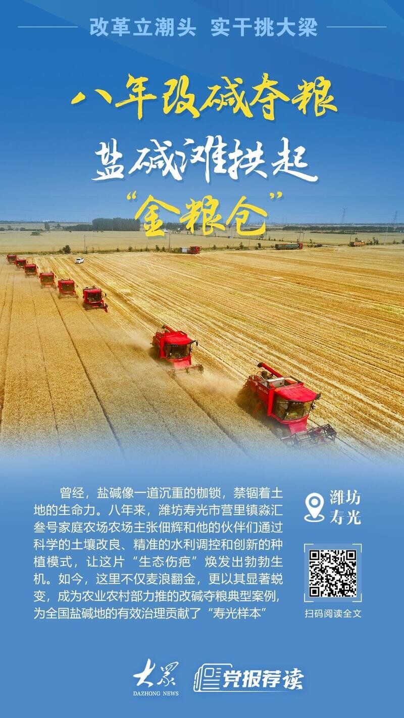 潍坊寿光北部13万亩盐碱地迈向高产田:八年改碱夺粮,盐碱滩拱起“金粮仓”