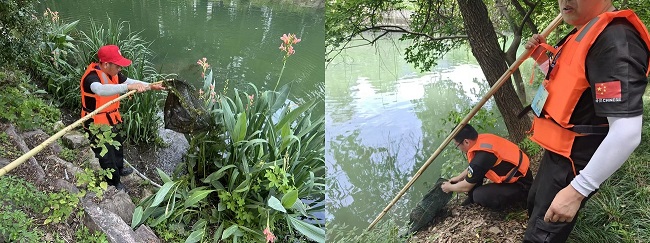 古荡街道快速处置河道非法地笼