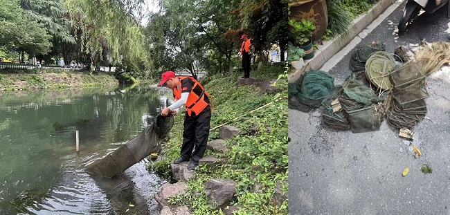 古荡街道快速处置河道非法地笼
