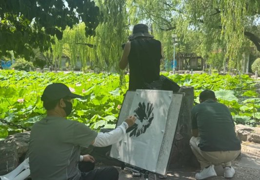 图片
