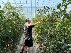 mmexport1750040588513