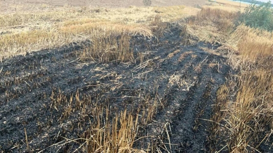 750ca8aa50de7f1a2cfda45362b9996b22561d2e