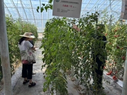 mmexport1750040582340