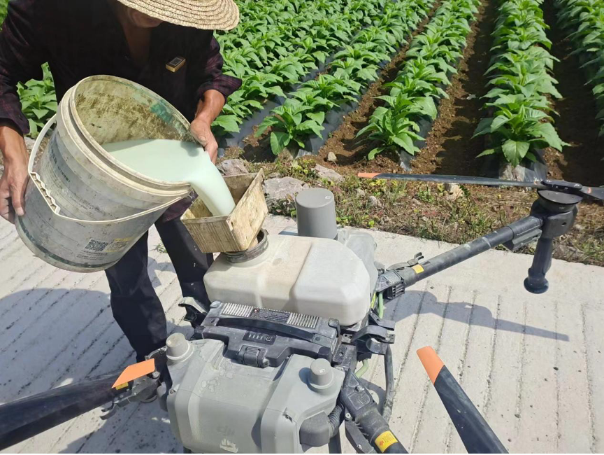 湖北咸丰：绿浪翻涌处，管护正当时