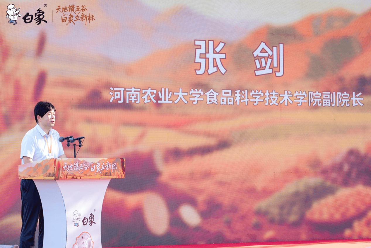 标准主导 让杂粮挂面营养好吃又安全