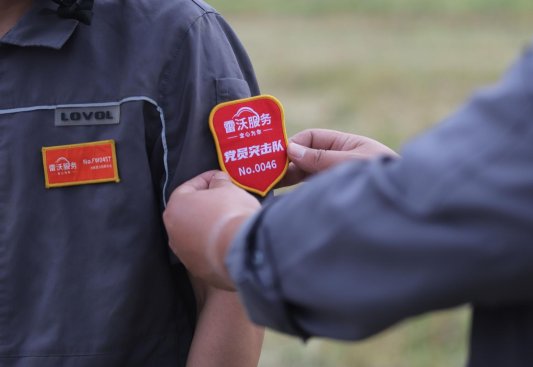 2.三夏党员突击队