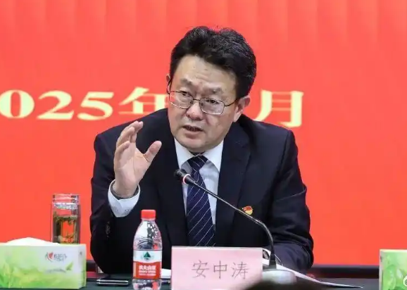 “老将”回归,安中涛获批任泰山财险董事长