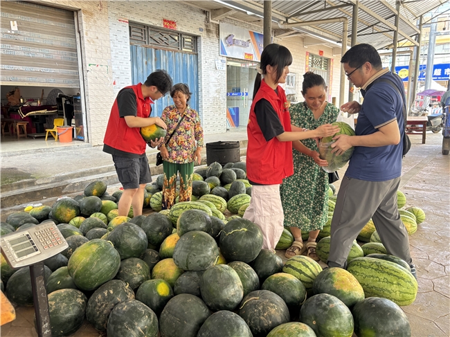 湖北应城：“金叶”助农，“瓜”分甜蜜
