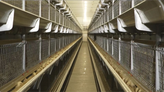 3203dc531f3605132656c975163e826