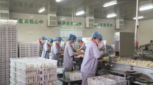 fcacc4f718d1f0a240cbaea30ee5a37