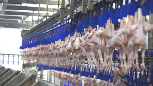 7935cdeb61c8cf14c6a1df6655787b7