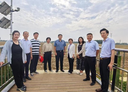 pa_10100000000062871_1751430286004_1706x1279_mo_