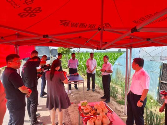 6e1f319337476693e74a4af0c3b4eb5