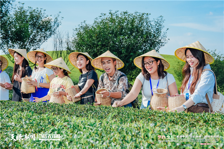 17527506761613.jpg 微信图片_20250717183050_副本.jpg