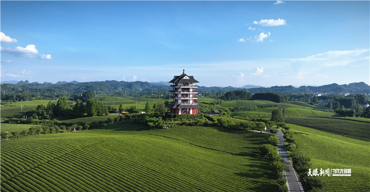 17527522283898.jpg 微信图片_20250717163025_副本.jpg