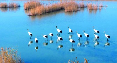 盛夏逐“绿”行——山东推动绿色低碳高质量发展先行区建设的实践探索