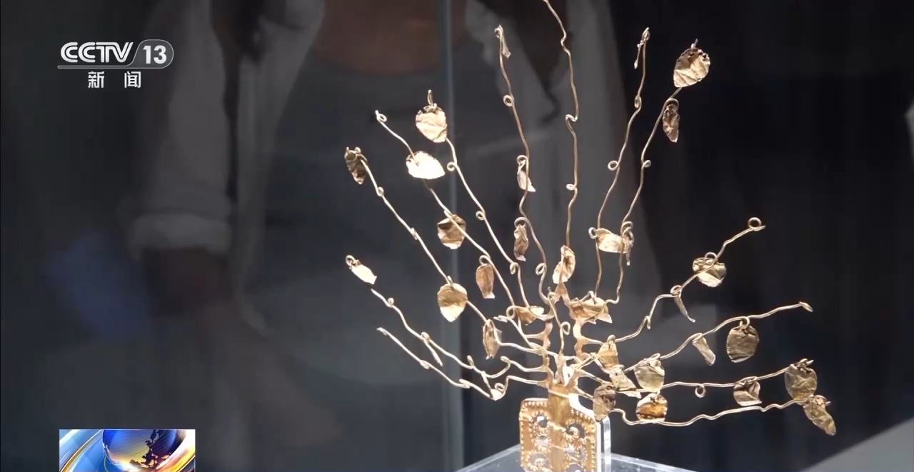 暑期探馆打卡“热” 多维体验看文物懂历史