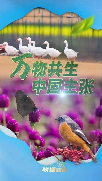 联播+|万物共生 中国主张