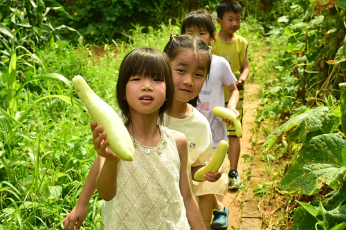 五育并举润乡土,数智赋能助振兴——湖南财政经济学院星火志愿队2025年“三下乡”实践总结