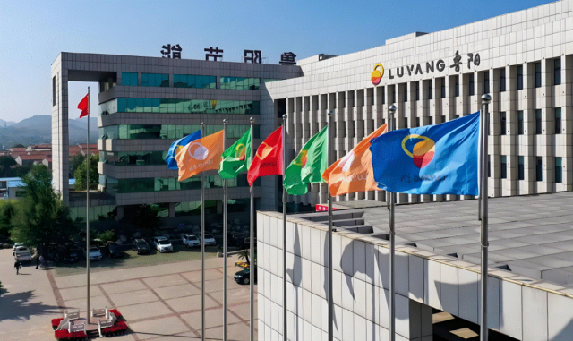 鲁阳节能人力、财务、审计负责人突遭解聘,系淄博老牌上市公司