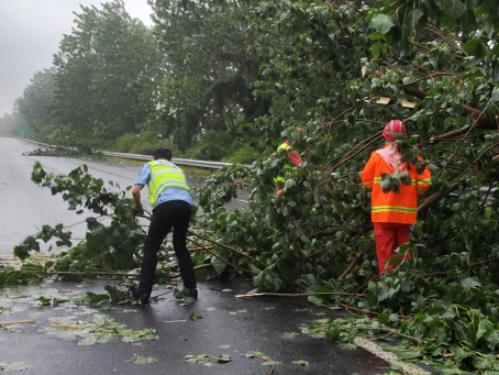 京沪支队第四大队严阵以待应对台风“竹节草”