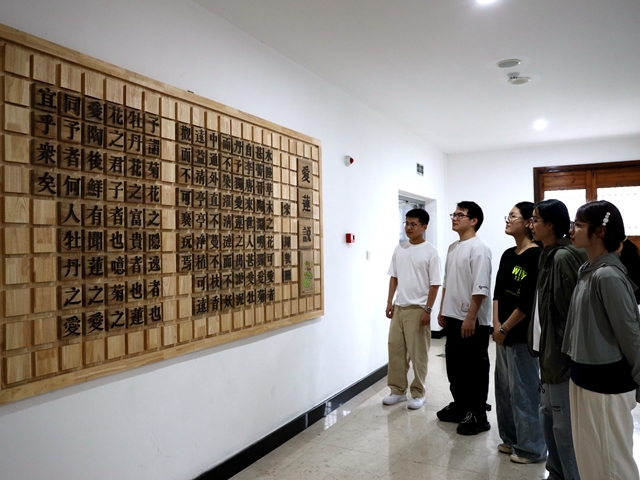 浙江瑞安:以“引、育、用”为钥 开启青年成长“加速通道”