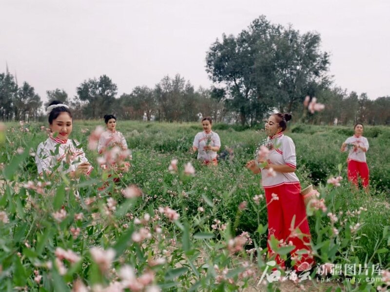 mmexport1753942413442