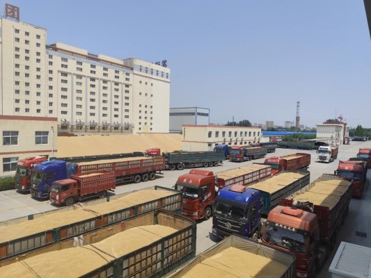 微信图片_2025-08-04_141145_462