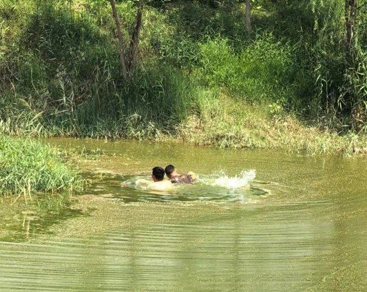 垂钓者意外落水,过路市民成福庆奋不顾身勇相救