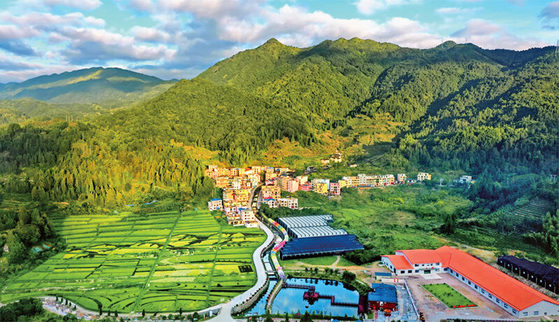 林茂田丰、天蓝水清的“七彩”后洋村。 宁德市委宣传部供图 （2023年第24期《求是》杂志刊发）