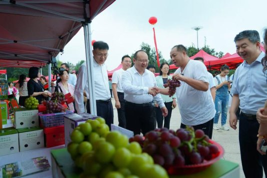 微信图片_20241230155001
