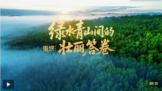 重磅微视频丨绿水青山间的壮丽答卷