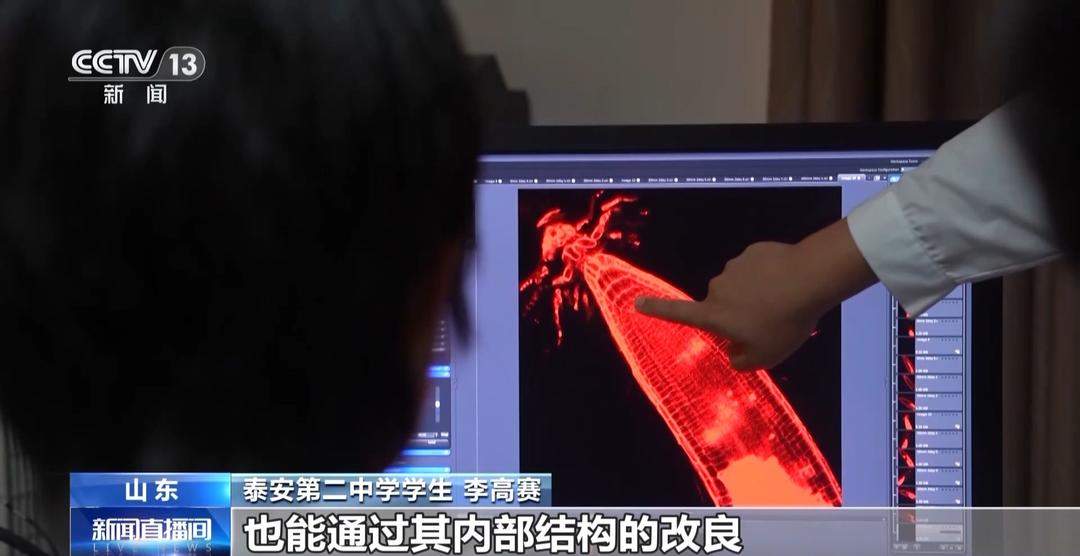 主打个性化选择，山东等多地中小学推出探究式暑假作业