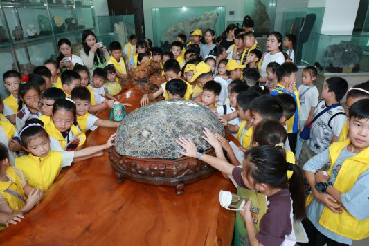 6B4D4DE53D220ACB9949EA36EA123186