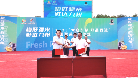 e2cdce9a61215c65deb6e48e6c2d7f00