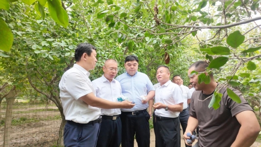 494f2bce33d7e7e00c0dad5e65ad2132