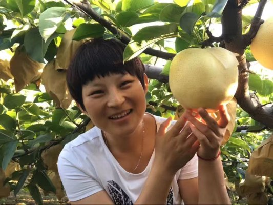 D:xwechat_fileswxid_v695oy2dw1hi22_c99btempRWTemp2025-089e20f478899dc29eb19741386f9343c86b6c121bc20150c4f0dddbd2e82fba90.jpg